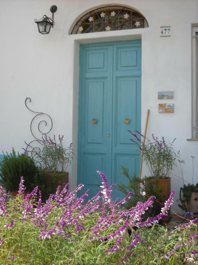 Giardino Della Moscatella Acomodação com café da manhã Altamura Exterior foto