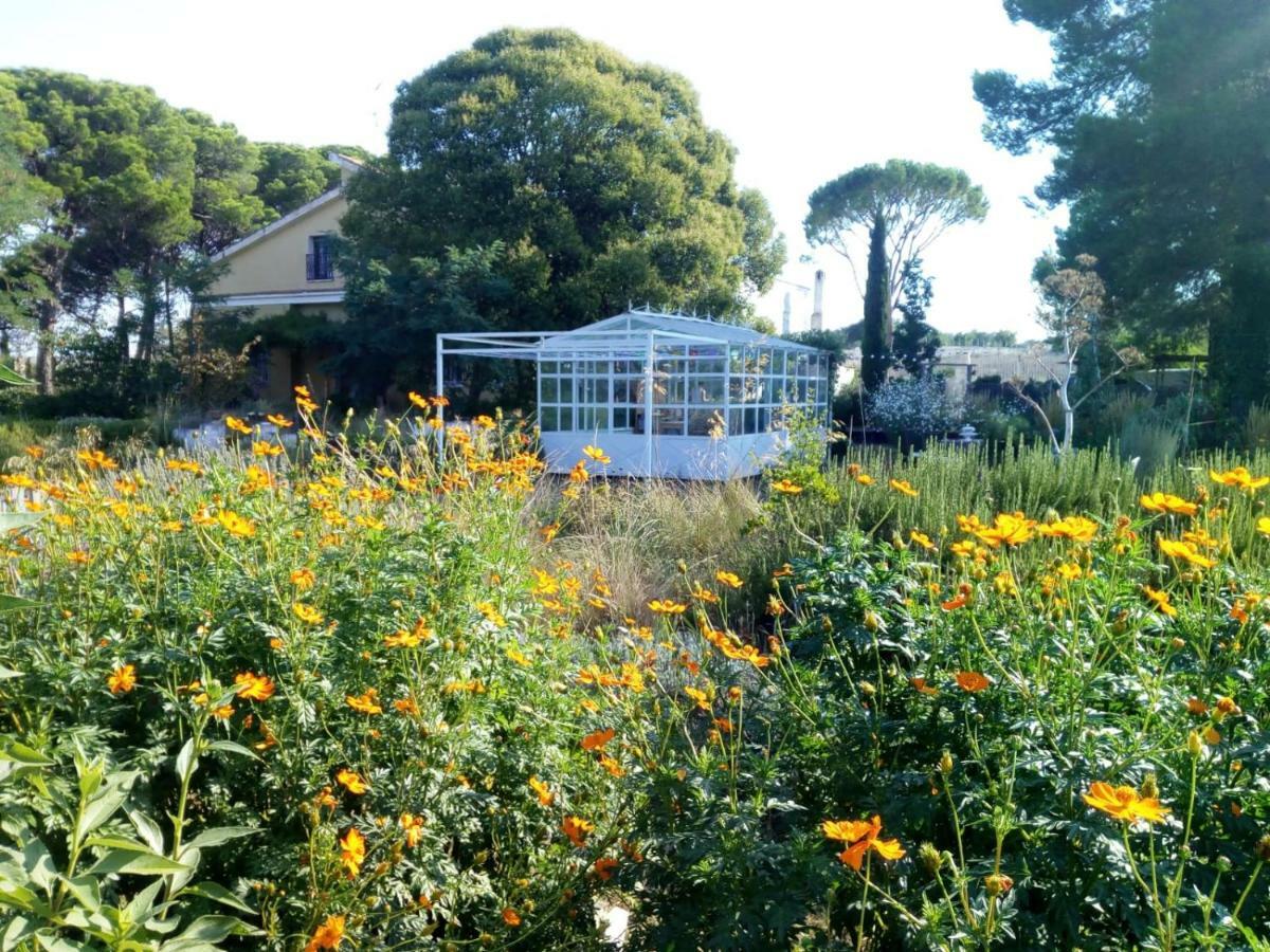 Giardino Della Moscatella Acomodação com café da manhã Altamura Exterior foto
