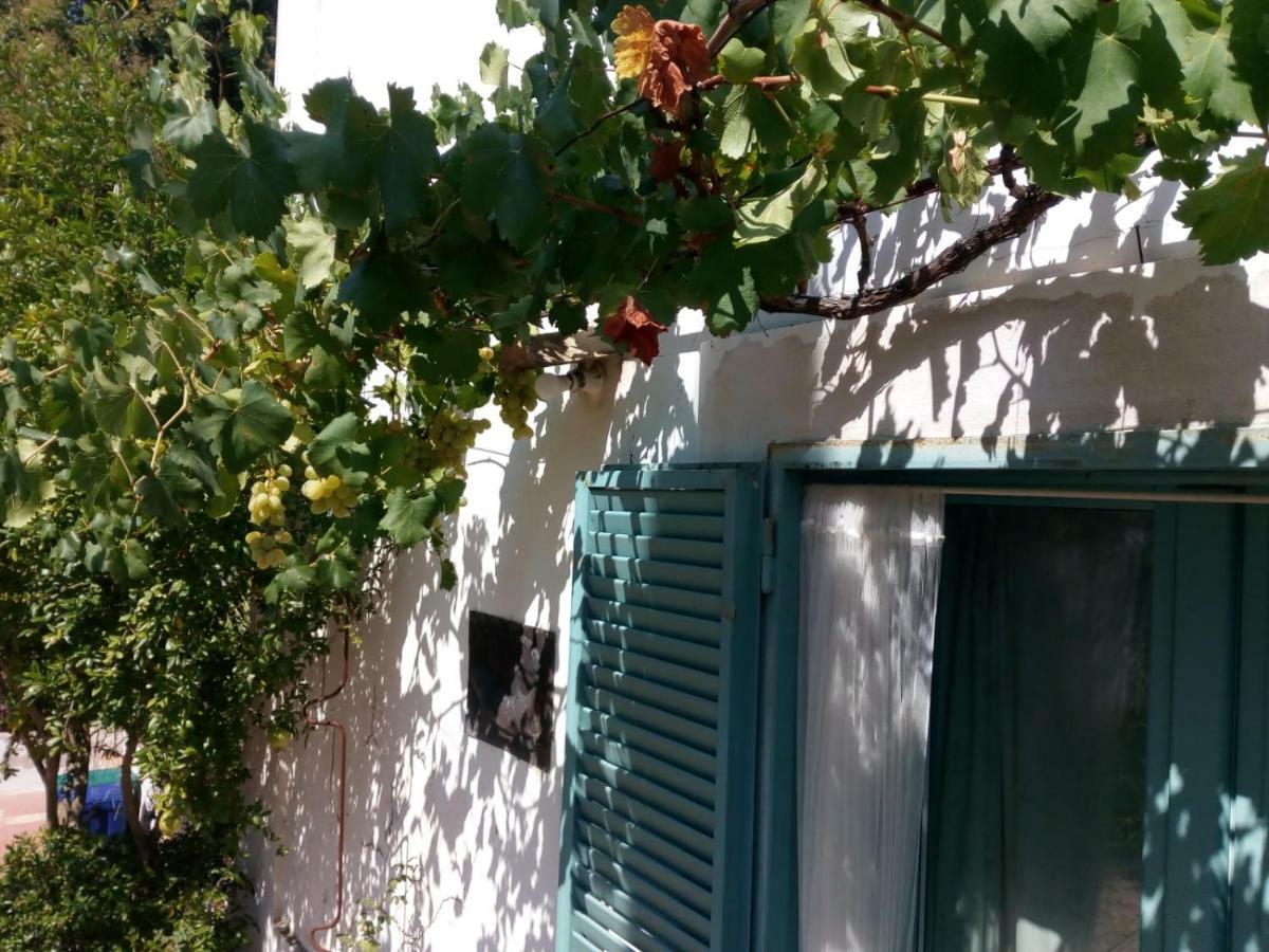 Giardino Della Moscatella Acomodação com café da manhã Altamura Exterior foto